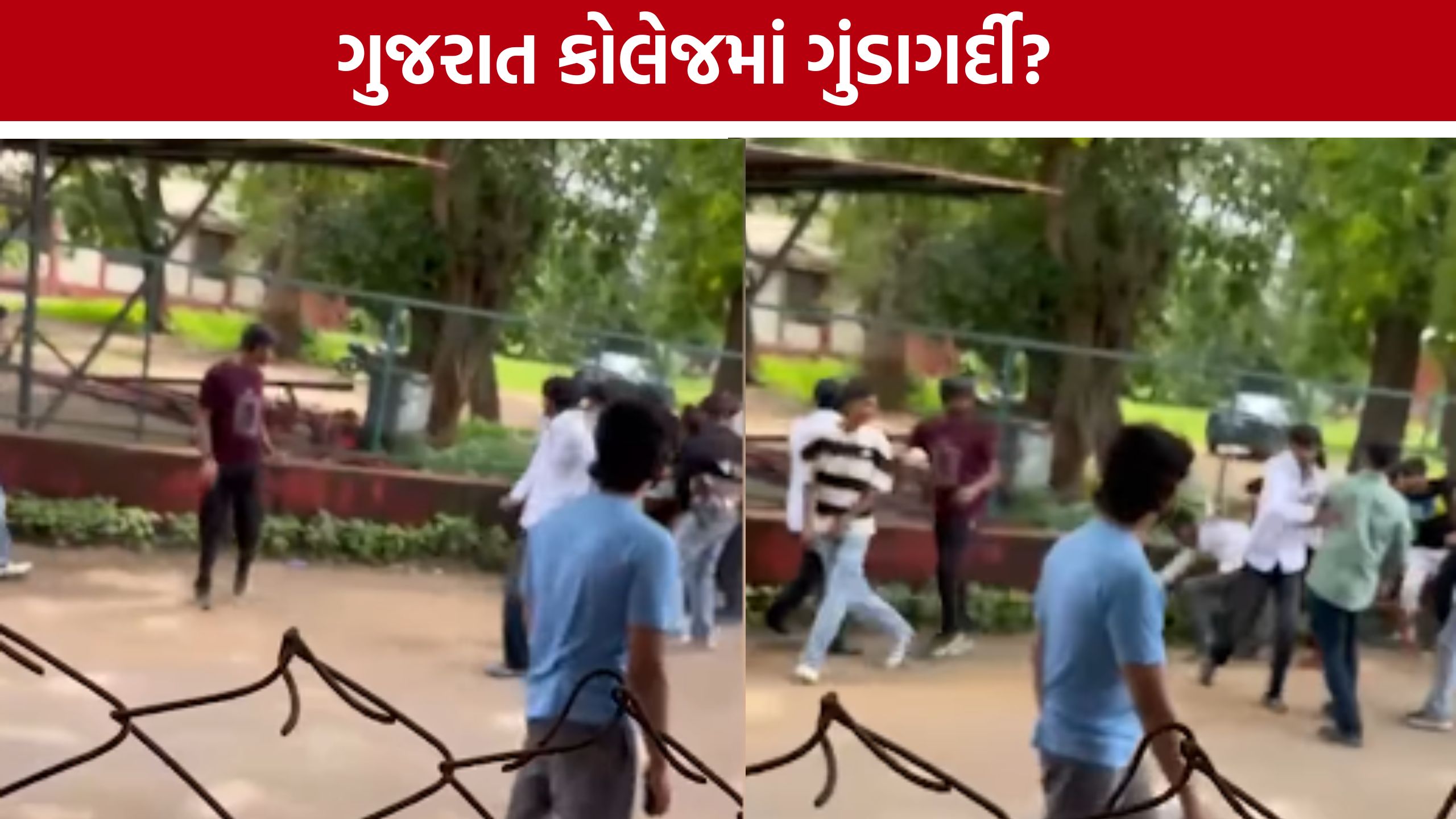 Gujarat College Student Attack: વિદ્યાર્થી સંગઠનના નામે દાદાગીરી? ગુજરાત કોલેજની ઘટનાથી ઉઠ્યા સવાલો