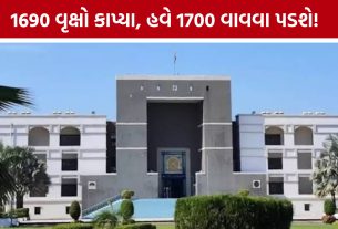 Gujarat High Court: વૃક્ષો કાપવાના કેસમાં અનોખી સજા જેવી શરત: બે ફોરેસ્ટ ગાર્ડને 1700 વૃક્ષો વાવવાની શરતે જામીન