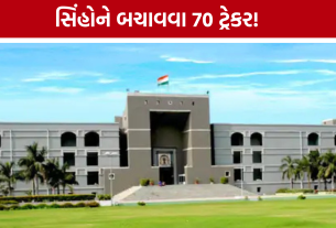 Gujarat High Court Lion Case: રેલવે ટ્રેક પર સિંહોની સુરક્ષા માટે 70 ટ્રેકર, 100 મૂવમેન્ટ સ્પોટ ઓળખાયા