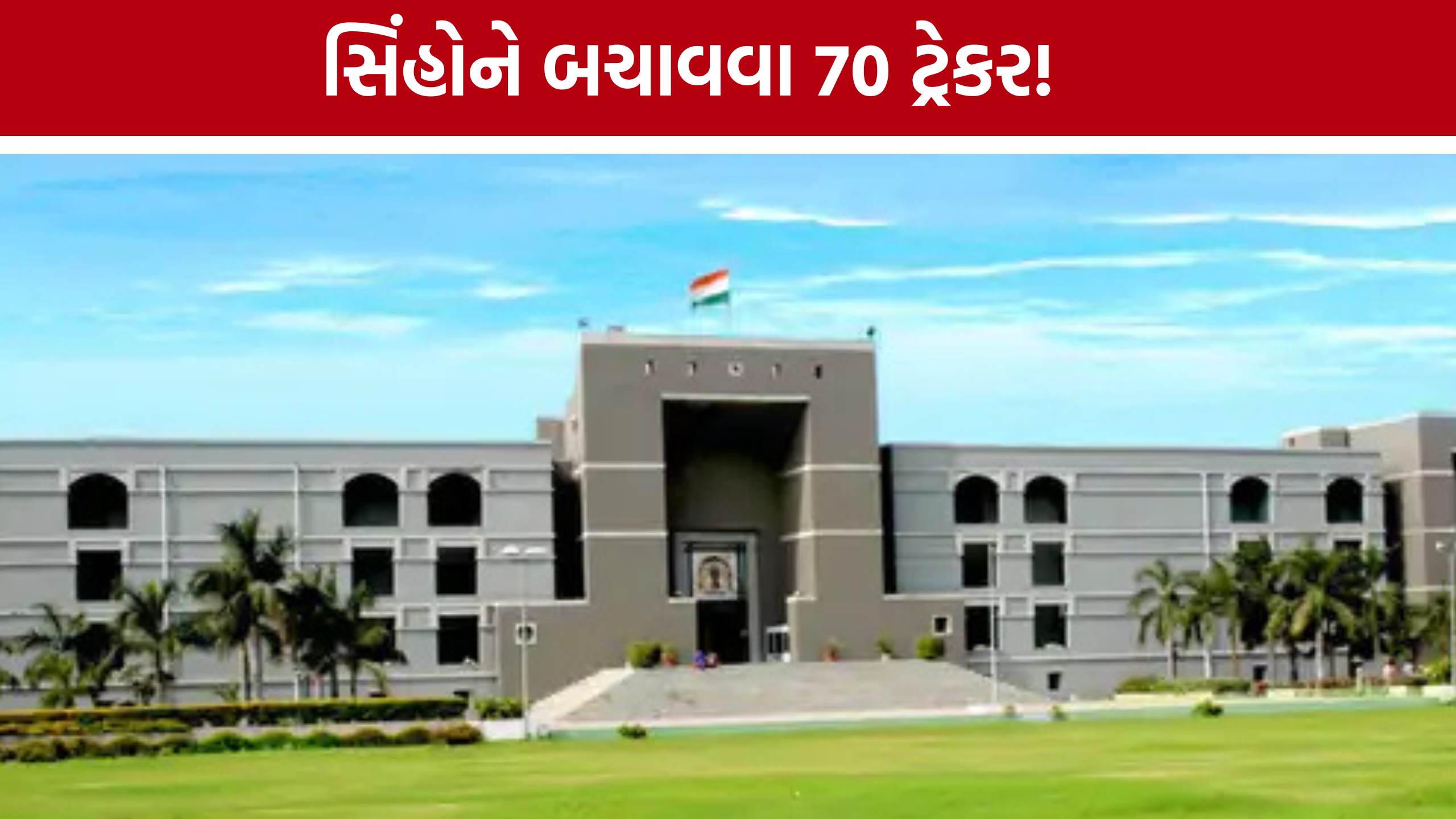 Gujarat High Court Lion Case: રેલવે ટ્રેક પર સિંહોની સુરક્ષા માટે 70 ટ્રેકર, 100 મૂવમેન્ટ સ્પોટ ઓળખાયા
