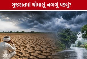 Gujarat Rain Deficit: વરસાદનું સંકટ ઘેરાયું, ચોમાસાની વિદાય પહેલા સપ્ટેમ્બરના વરસાદની આશા