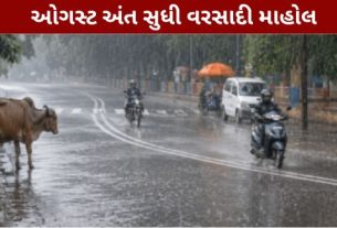ગુજરાતમાં વરસાદને લઈને હવામાન વિભાગે આગામી સાત દિવસ માટે મહત્વની આગાહી (Gujarat Rain Forecast)કરી છે