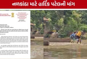 નળકાંઠા માટે Hardik Patel મેદાનમાં, CMને લખ્યો પત્ર