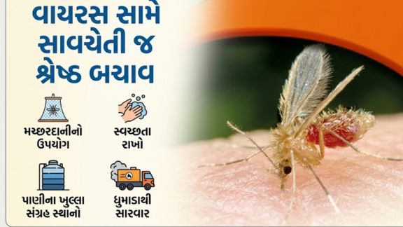 રાજ્યમાં ચાંદીપુરા વાયરસ (Chandipura Virus)ની પરિસ્થિતિ અંગે માહિતી આપતાં આરોગ્ય મંત્રી પ્રફુલ પાનશેરીયાએ જણાવ્યું હતું કે, રાજ્યમાં સામે આવેલા તમામ શંકાસ્પદ કેસ ચાંદીપુરાના નથી