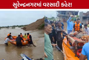 Surendranagar Rescue Operation: વરસાદી કહેર વચ્ચે ફાયર વિભાગે 60થી વધુ લોકોનું કર્યું રેસ્ક્યુ