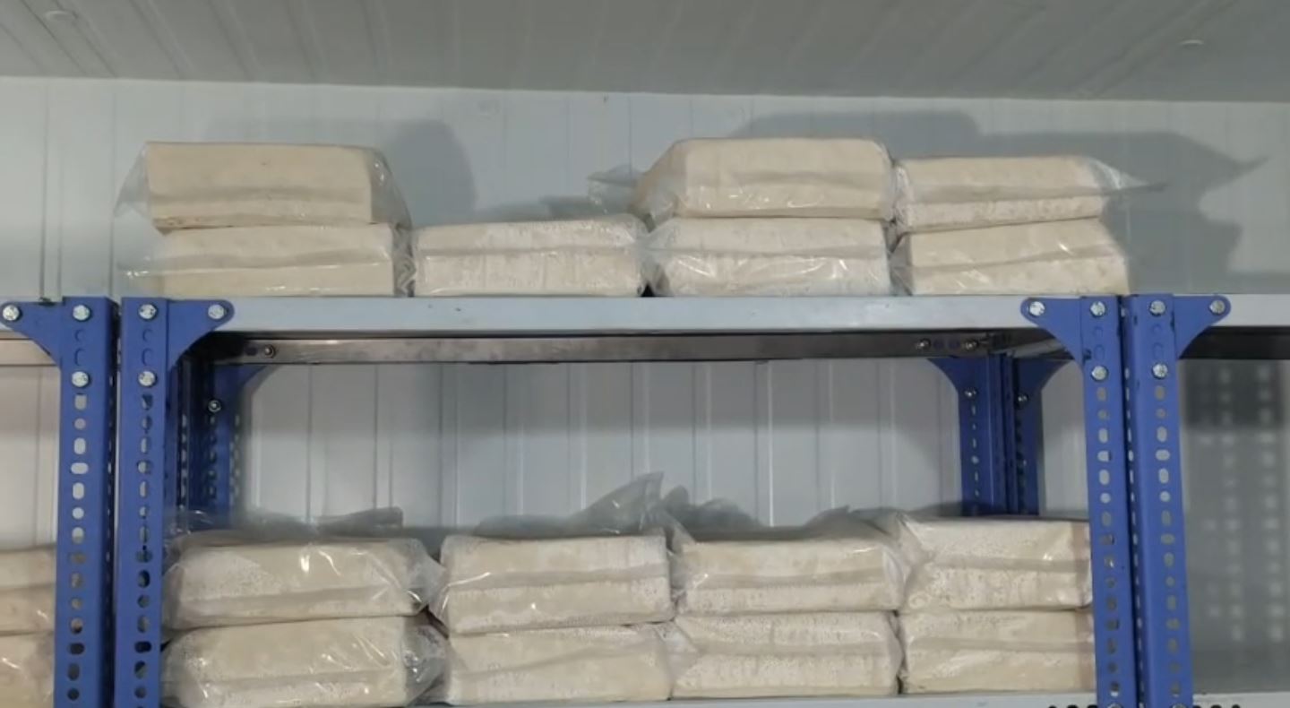 Gujarat Analog Paneer Ban તંત્રનો સખત એક્શન
