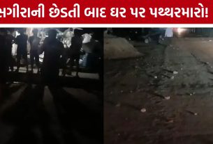 Minor Girl Harassment: સગીરાની છેડતી બાદ પોલીસ ફરિયાદ કરવા ગયા, ઘરે પરત ફર્યા ત્યાં પથ્થરમારો