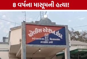 Idar Child Murder: 8 વર્ષના માસૂમના મોતથી ઇડર પંથકમાં શોક, શંકાસ્પદ યુવકની પૂછપરછમાં મહત્વની કડી