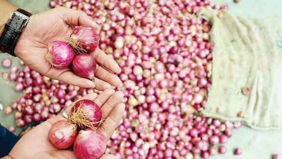 Onion Price Hike: 15 દિવસમાં ડુંગળીના ભાવ રૂ.35-40થી વધીને રૂ.60-70 પ્રતિ કિલો થયા