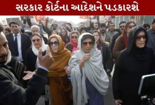   પાકિસ્તાનના પૂર્વ વડાપ્રધાન ઇમરાન ખાન (Imran Khan)ને લગભગ નવ મહિના બાદ તેમની બહેન નોરીન નિયાઝી મળી છે