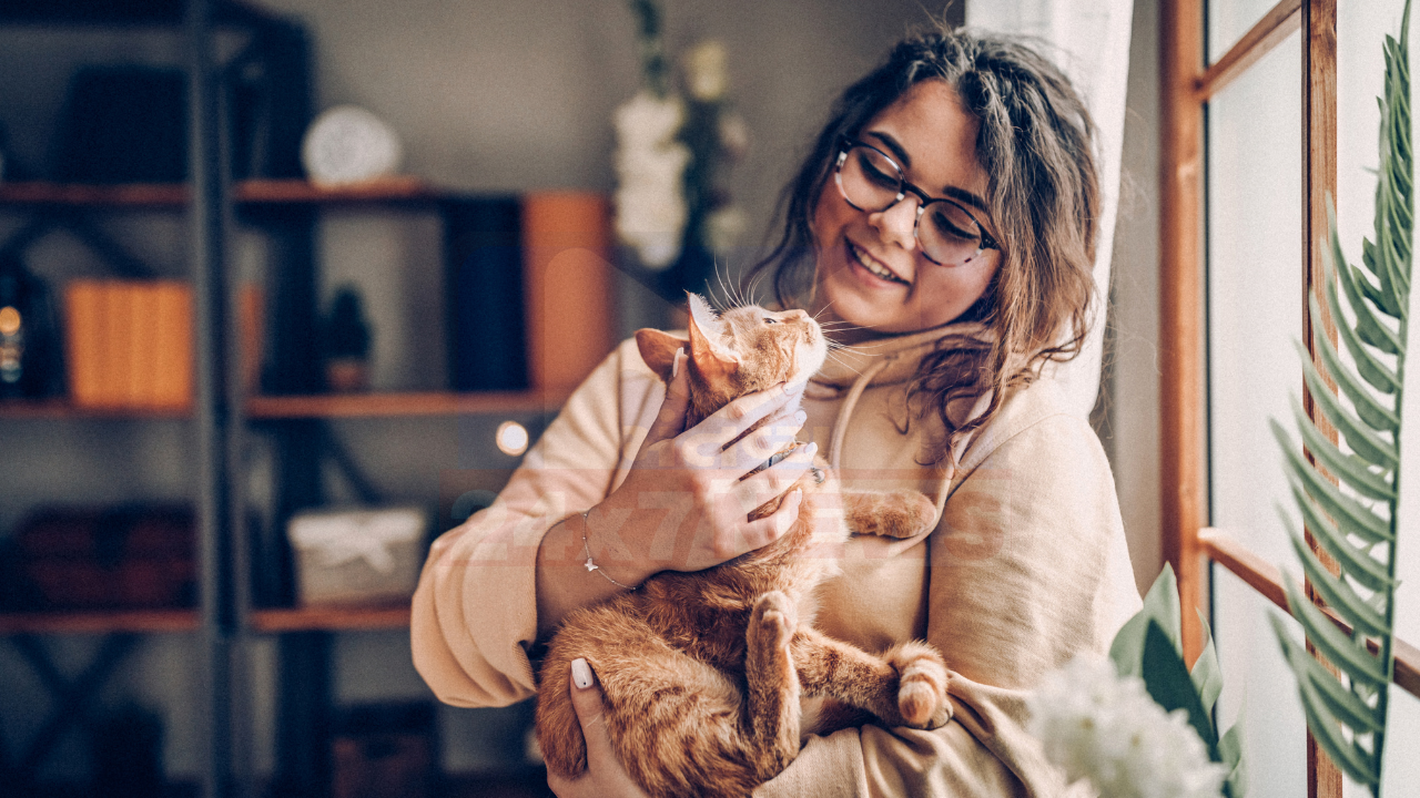 International Cat Day