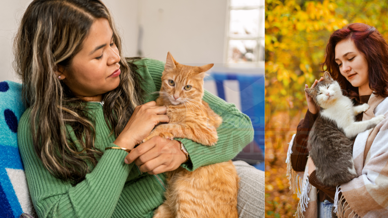 International Cat Day