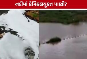 Jamnagar Pollution: રંગમતી-નાગમતી નદીમાં પ્રદૂષણનો મુદ્દો ફરી ચર્ચામાં, સ્થાનિકોએ કરી કડક કાર્યવાહીની માંગ