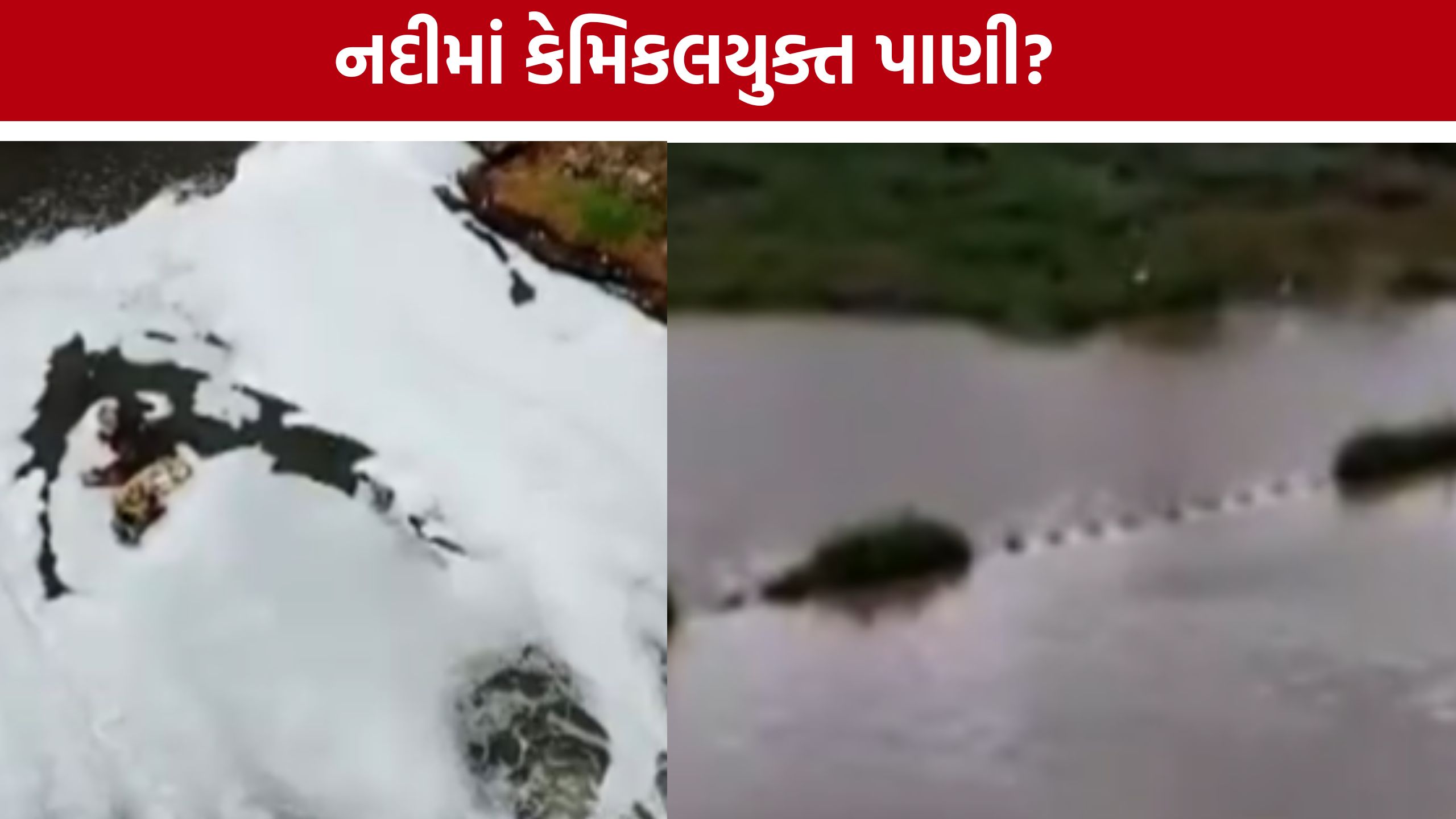 Jamnagar Pollution: રંગમતી-નાગમતી નદીમાં પ્રદૂષણનો મુદ્દો ફરી ચર્ચામાં, સ્થાનિકોએ કરી કડક કાર્યવાહીની માંગ