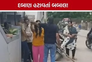 Junagadh Encroachment હટાવતાં બબાલ, હાથમાં લાકડી લઈને અરજદારને મારવા દોડ્યો
