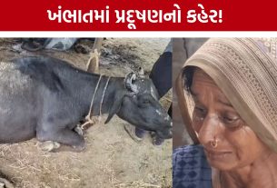 Khambhat Chemical Pollution, પહેલા 200 પક્ષીઓ, હવે 7 પશુઓનાં મોત