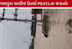 ભારે વરસાદ વચ્ચે જીવના જોખમે ફરજ બજાવતા PGVCL Employeesની પ્રશંસા