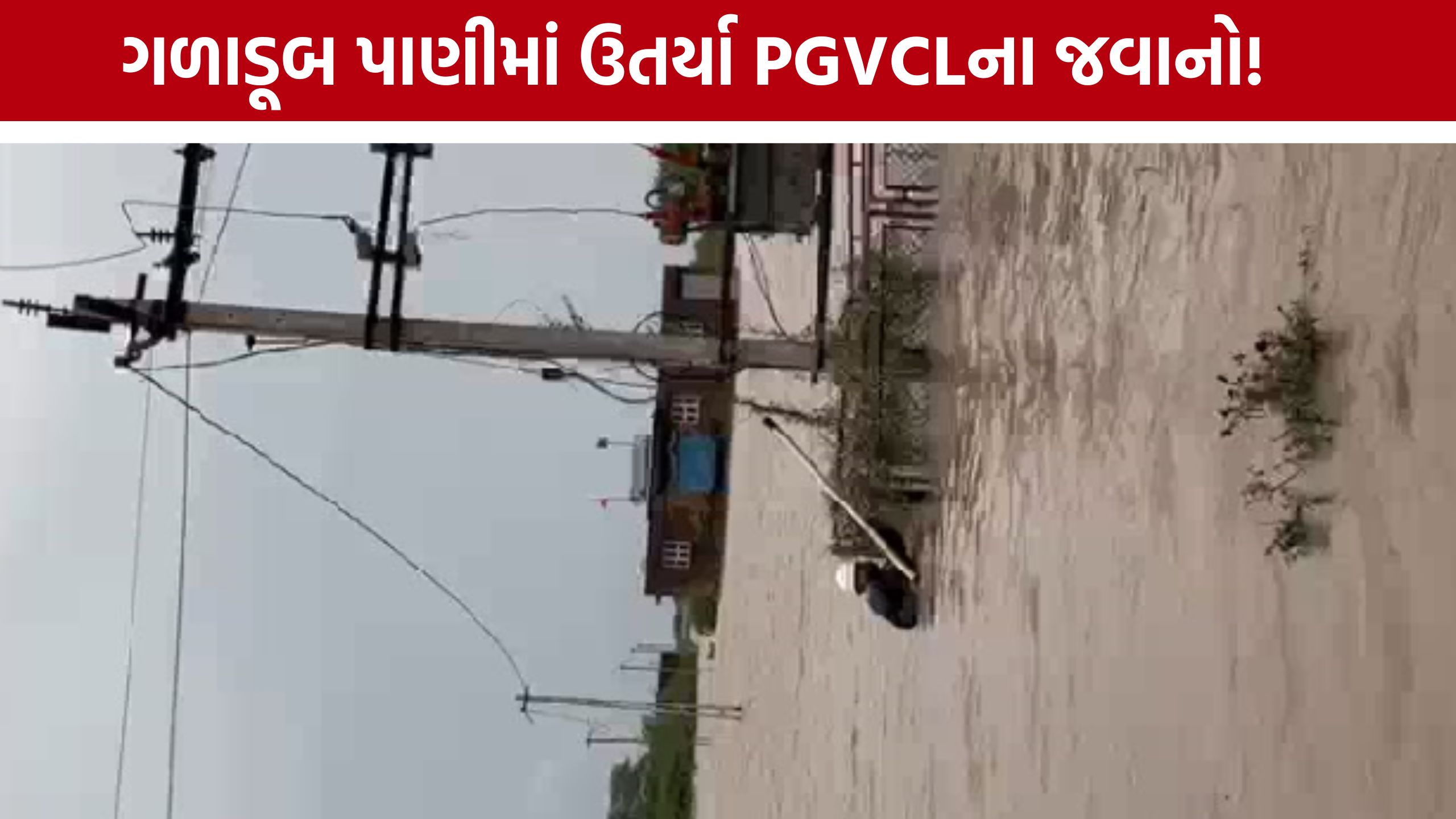ભારે વરસાદ વચ્ચે જીવના જોખમે ફરજ બજાવતા PGVCL Employeesની પ્રશંસા
