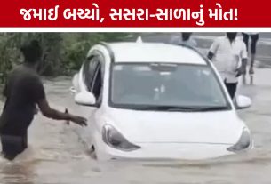 Car Swept Away In Rain Water: વહેતા પાણીમાં ફસાઈ કાર, સ્થાનિકોની મદદથી મુસાફરોનો બચાવ