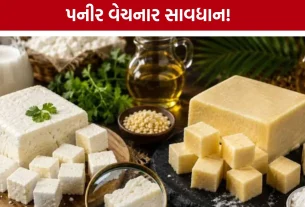 Analog Paneer Ban: ગ્રાહકોના સ્વાસ્થ્ય માટે મહારાષ્ટ્ર સરકારનો કડક નિર્ણય, નોન-ડેરી પનીરના ઉત્પાદન અને વેચાણ પર રોક