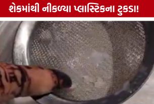 Mehsana Mukta Cinema: ફિલ્મના ઇન્ટરવલમાં ઓરિઓ શેક મંગાવ્યો, કપના તળિયે મળ્યા પ્લાસ્ટિકના ટુકડા