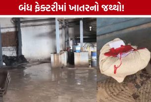 Morbi CID Crime Raid: સિરામિક ફેક્ટરીમાંથી 804 બેગ યુરિયા ખાતર જપ્ત