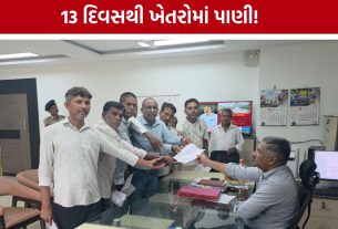 Paddy Crop Damage: નડિયાદમાં ખેડૂતોનો આક્રોશ: 250 વીઘા જમીન જળબંબાકાર,