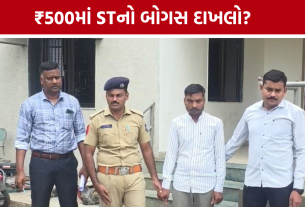 નસવાડીમાં ₹500માં Bogus ST Certificate? VCEની ધરપકડ બાદ મચ્યો હડકંપ