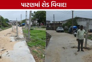 ખાનગી પ્લોટ પર રોડ બનાવ્યાનો આરોપ, Patan Municipality હવે કરશે તપાસ