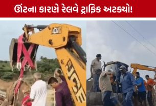 Porbandar Railway Track પર ઊંટ બેસી જતા દોડધામ, લોકો પાઇલટે ટ્રેન રોકી