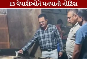 રાજકોટ મહાનગરપાલિકાના (RMC) આરોગ્ય વિભાગે (Rajkot Health Department)શહેરમાં ખાદ્ય સુરક્ષા અને સ્વચ્છતા જાળવવા માટે મેગા સર્વેલન્સ ડ્રાઇવ હાથ ધરી હતી