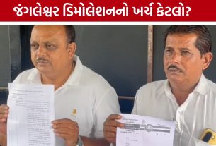 Jangleshwar Demolitionનો ખર્ચ કેટલો? મનપાના આંકડા અને નગરસેવકના દાવામાં તફાવત