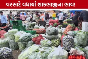 Vegetable Price Hike: દૂધીથી કેપ્સીકમ સુધી ભાવવધારો, ચોમાસામાં શાકભાજી બની મોંઘી