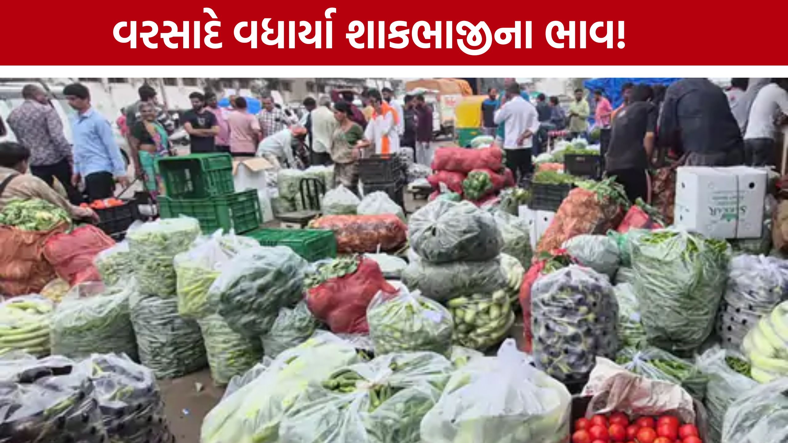 Vegetable Price Hike: દૂધીથી કેપ્સીકમ સુધી ભાવવધારો, ચોમાસામાં શાકભાજી બની મોંઘી