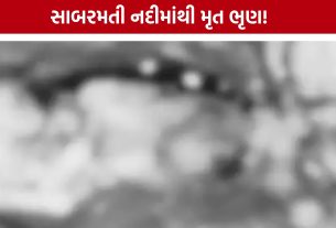 Sabarmati River Dead Fetus: નદીમાંથી 2થી 4 મહિનાનું મૃત ભૃણ મળ્યું