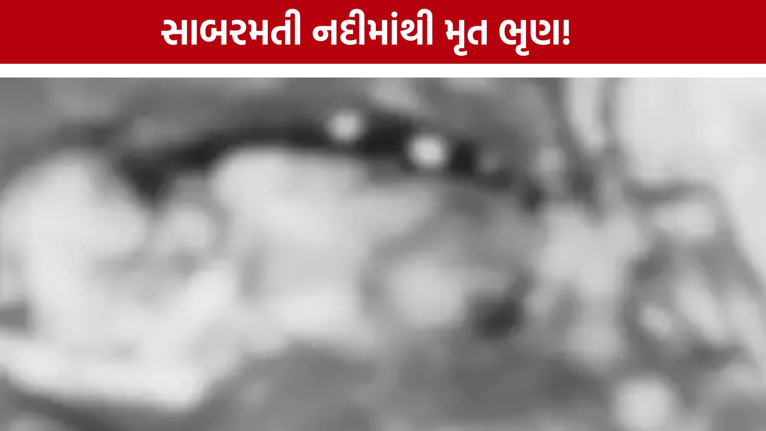 Sabarmati River Dead Fetus: નદીમાંથી 2થી 4 મહિનાનું મૃત ભૃણ મળ્યું