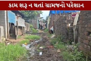 ગ્રાન્ટ ફાળવાયા બાદ પણ કામગીરી શરૂ ન થતાં સમગ્ર મામલે ભ્રષ્ટાચાર (Corruption)અને સરકારી નાણાંના દુરુપયોગના આક્ષેપો ઉઠ્યા છે.