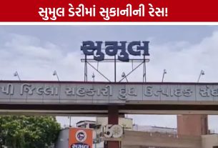 Sumul Dairy Election 2026: 17 ઓગસ્ટે પ્રમુખ-ઉપપ્રમુખની ચૂંટણી, ભાજપ પેનલમાં લોબિંગ તેજ