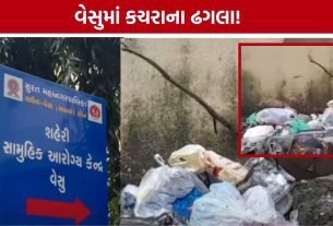 Vesu Garbage Problem: સ્વચ્છતામાં નામના ધરાવતા સુરતમાં વેસુની હાલત ખરાબ