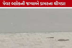 Pal Adajan Road Repair:કરોડોના CC રોડ પર ડામરનું પેચવર્ક! સુરત પાલિકાની કામગીરી ચર્ચામાં