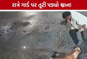 Security Guard Dog Attack: રાત્રે સોસાયટીમાં ઘૂસેલા શ્વાને ગાર્ડને બચકું ભર્યું, રહીશોમાં ફફડાટ