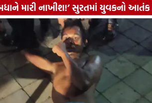 Surat Twin Business Building : બિલ્ડિંગમાં યુવકનો તોડફોડનો આતંક, 3 લોકોને ઈજા બાદ ફાયર બ્રિગેડે પકડ્યો