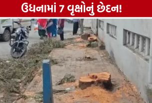 Surat Udhna Tree Illegal Cutting: બિલ્ડિંગને નડતરરૂપ બન્યા તો 7 વૃક્ષો કપાયા? રાતોરાત છેદનથી રોષ