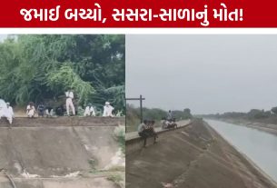 Narmada Canal Accident: જમાઈ બચી ગયો, બચાવવા ગયેલા સસરા-સાળાનું મોત