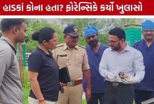 Gotri Crematorium Case: હાડકાં માનવીના નહીં, ફોરેન્સિકે કર્યો મોટો ખુલાસો