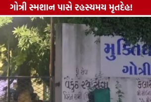 Gotri Crematorium પાસે અડધો સળગેલો મૃતદેહ મળતાં ચકચાર, પોલીસ તપાસ શરૂ