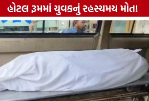 Vadodara Hotel Death : લાઈટ ગઈ, યુવક પડી ગયો; સવારે મોત: હોટલમાં રાત્રિના બનાવથી ચકચાર