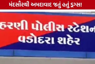 MD Drugs Case: વડોદરા LCBની મોટી સફળતા: 1.39 કિલો મેફેડ્રોન સાથે પતિ-પત્ની ઝડપાયા