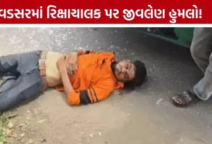 Rickshaw Driver Attack: વડસરમાં રિક્ષાચાલક લોહીલુહાણ, હુમલાખોરોને શોધવા CCTV તપાસ
