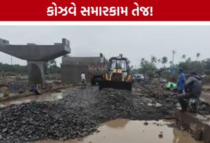 75 શ્રમિકો અને ભારે મશીનરી સાથે Causeway Repairને વેગ